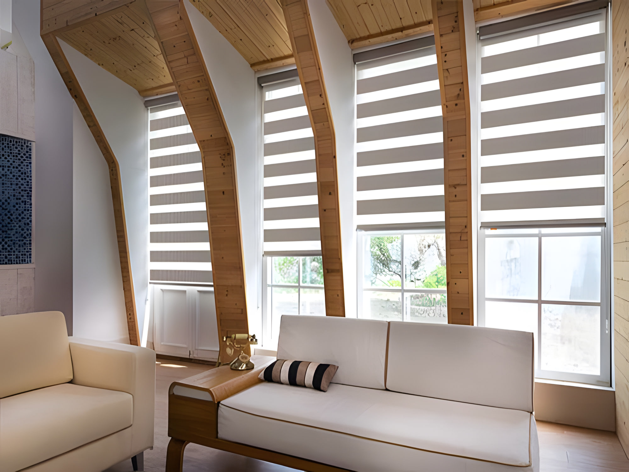 Combi blinds